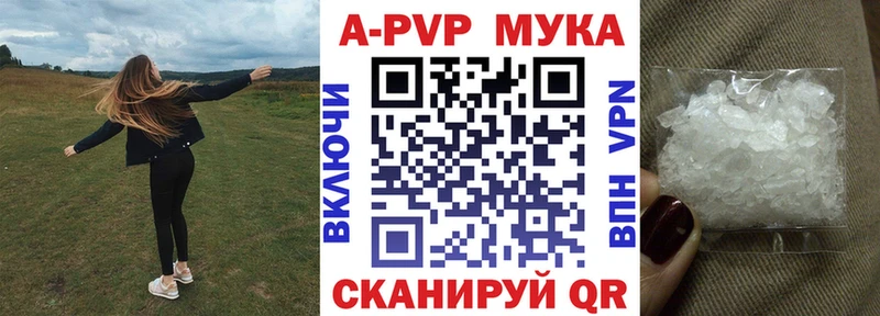 APVP VHQ  Курчалой 