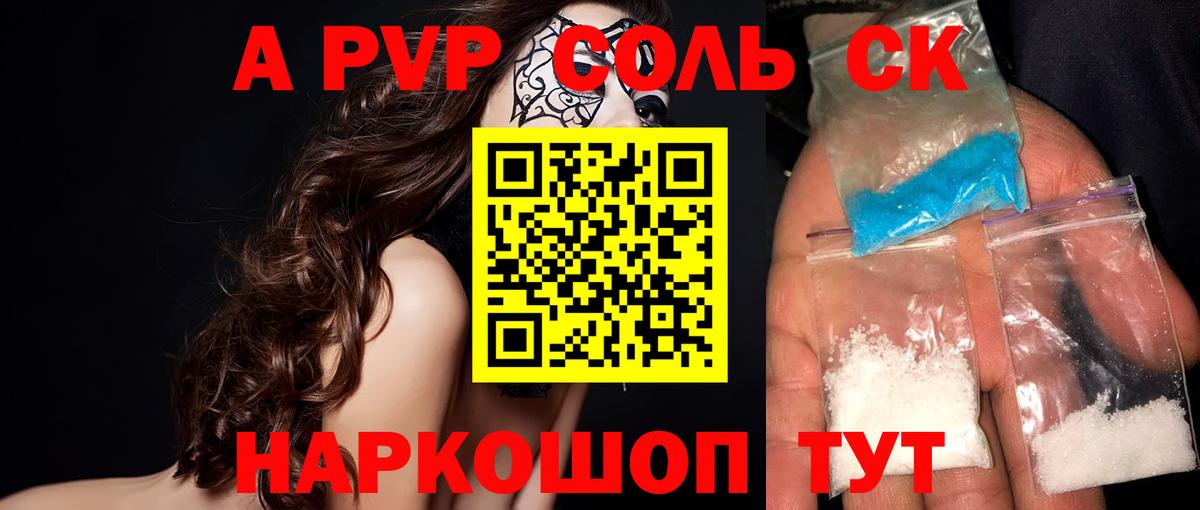 Альфа ПВП СК Курчалой