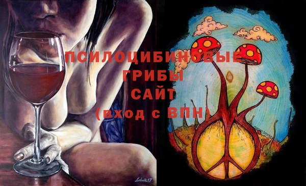 дмт Няндома