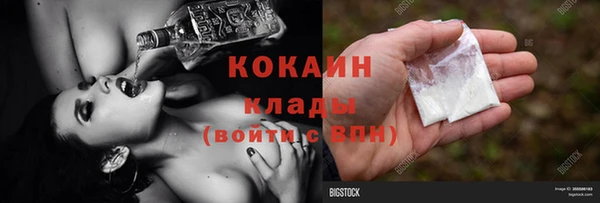 дмт Няндома