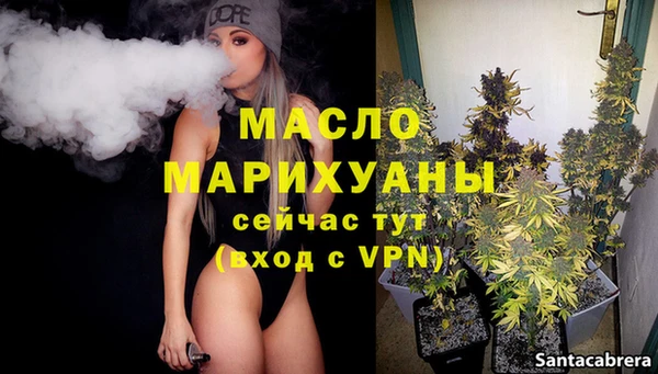 дмт Няндома