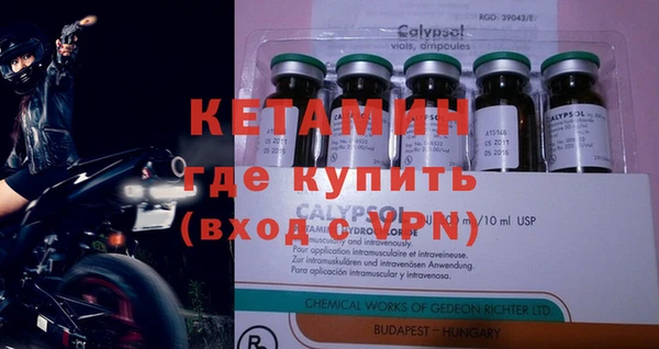 прущие грибы Новодвинск