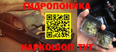 гидра Кинель