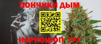 гидра Кинель